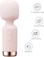Gan -Mini-vibrator