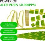 ⁦EQQUAL BERRY SERUM اخضر 30 مل⁩ - الصورة ⁦7⁩