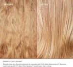 ⁦N4 250ML اولابليكس شامبو⁩ - الصورة ⁦8⁩