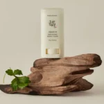 beauty of joseon sun stick 18gm