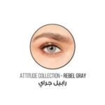 ⁦rebel grey ديسيو عدسات يوميه⁩ - الصورة ⁦6⁩
